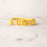 Load image into Gallery viewer, Lemon Velvet Dog Collar