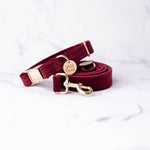 Load image into Gallery viewer, Coco Velvet Dog Collar