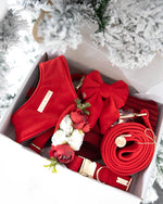 Load image into Gallery viewer, Amore Velvet Dog Harness