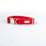 Load image into Gallery viewer, Amore Velvet Dog Collar