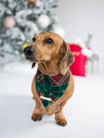 Load image into Gallery viewer, Lumi Dog Bandana
