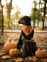 Load image into Gallery viewer, Blair Halloween Dog Bandana

