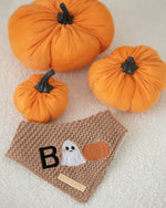 Load image into Gallery viewer, Brown Boo Halloween Dog Bandana

