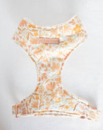 Load image into Gallery viewer, Evelyn Dog Harness
