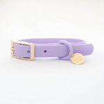 Load image into Gallery viewer, Lilac Adventure Walk Set
