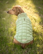 Load image into Gallery viewer, Sage Puffer Dog Jacket
