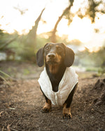 Load image into Gallery viewer, Cream Puffer Dog Jacket
