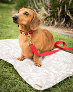 Load image into Gallery viewer, Piper Water Resistant Travel Mat
