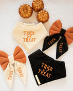 Load image into Gallery viewer, Cream Trick or Treat Velvet Dog Bandana

