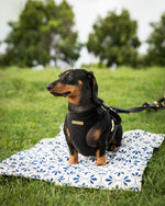 Load image into Gallery viewer, Harbor Water Resistant Travel Mat
