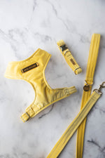 Load image into Gallery viewer, Lemon Velvet Dog Harness
