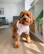 Load image into Gallery viewer, Pink Sass Turtle Neck Sweater
