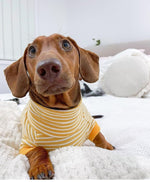 Load image into Gallery viewer, Yellow Sass Turtle Neck Sweater
