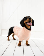 Load image into Gallery viewer, Personalised Musk Sweater
