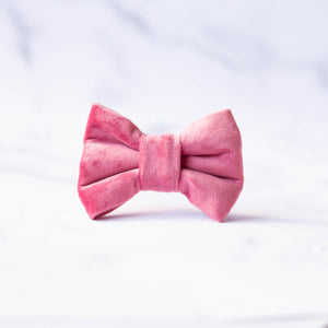 Blush Dog Bow Tie