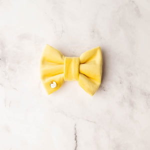 Lemon Velvet Bow Tie