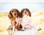 Load image into Gallery viewer, Musk Velvet Dog Harness
