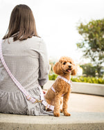 Load image into Gallery viewer, Hands Free Dog Lead
