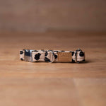 Load image into Gallery viewer, Sasha Dog Collar
