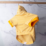 Load image into Gallery viewer, Yellow Sass Turtle Neck Sweater
