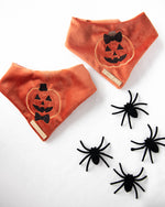 Load image into Gallery viewer, Jill-o'-lantern Velvet Glow in the Dark Halloween Dog Bandana

