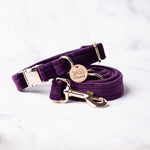 Load image into Gallery viewer, Elizabeth Velvet Dog Collar
