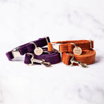 Load image into Gallery viewer, Elizabeth Velvet Dog Collar
