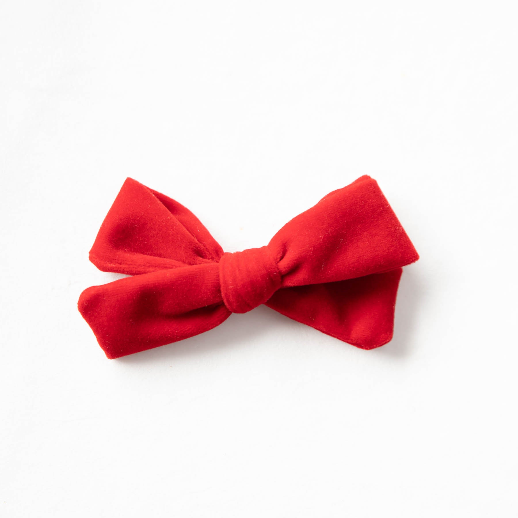 Amore Velvet Hair Dog Bow Tie