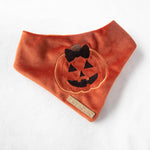 Load image into Gallery viewer, Jill-o'-lantern Velvet Glow in the Dark Halloween Dog Bandana
