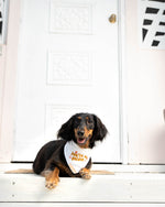 Load image into Gallery viewer, 'You're so golden' Dog Bandana
