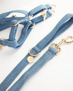 Load image into Gallery viewer, Levi Dog Lead
