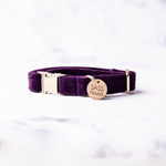 Load image into Gallery viewer, Elizabeth Velvet Dog Collar

