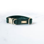 Load image into Gallery viewer, Ollie Velvet Dog Collar
